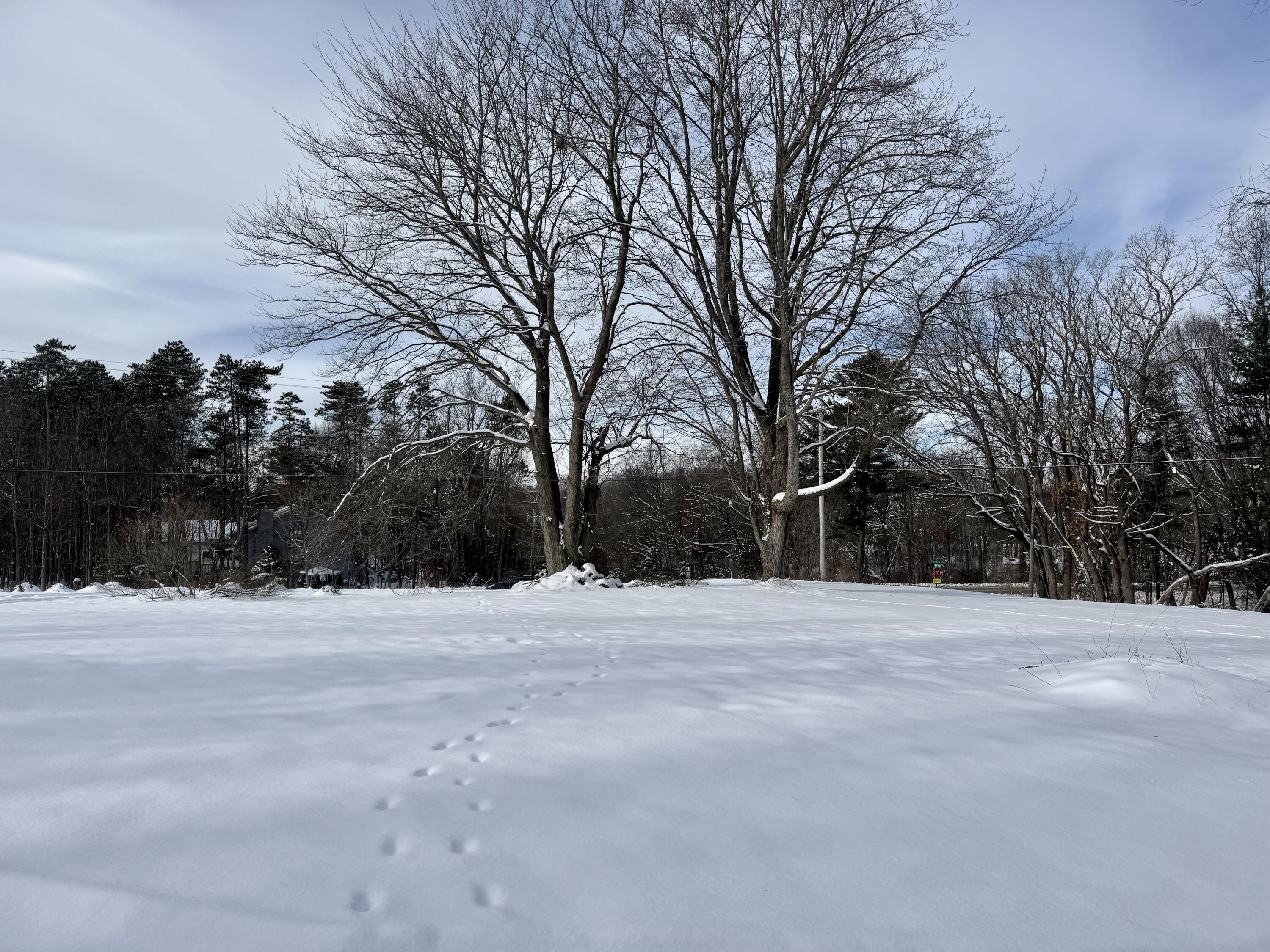 Property Image for 6593 134th Avenue