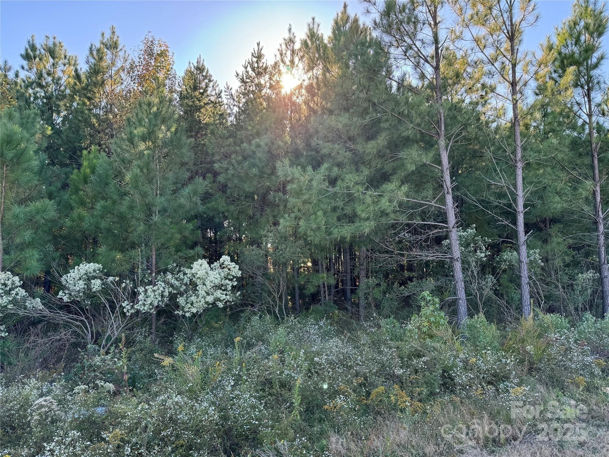 Property Image for NE CONNECTOR Bypass