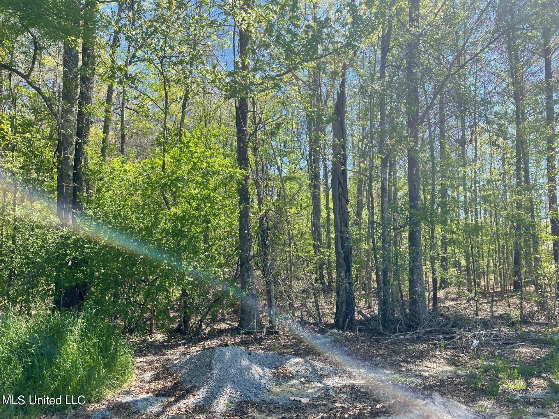 Property Image for 108 Holly Bush Road