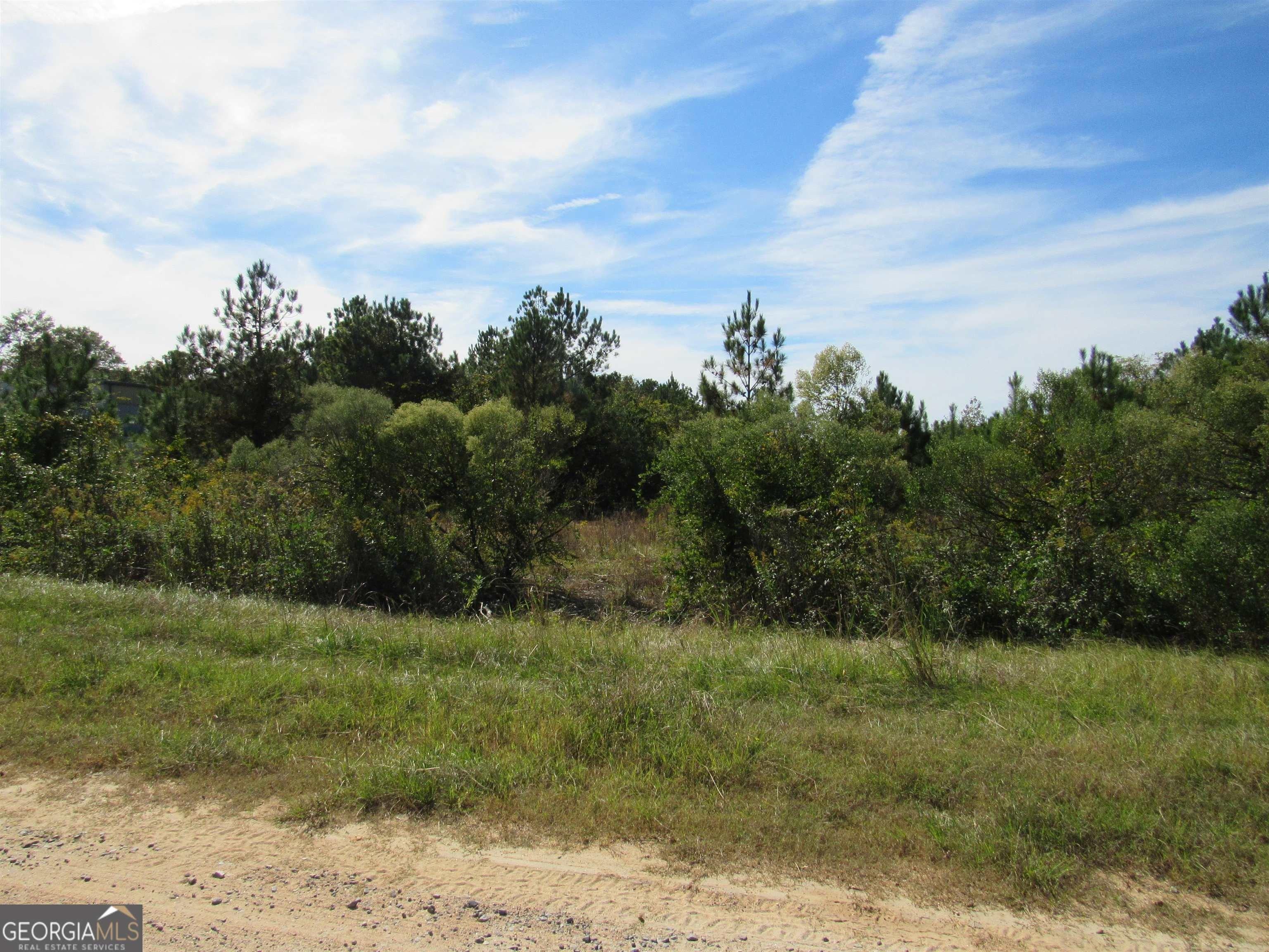 Property Image for 5569 Old Hawkinsville Road