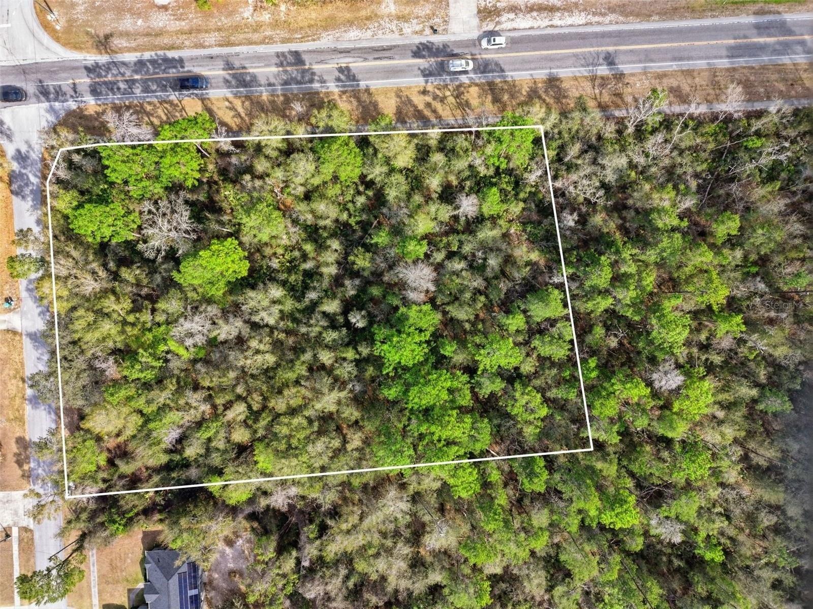 Property Image for 0 Lake Helen Osteen Road