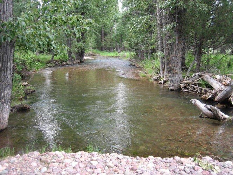 Property Image for 2980 Hwy 83 N