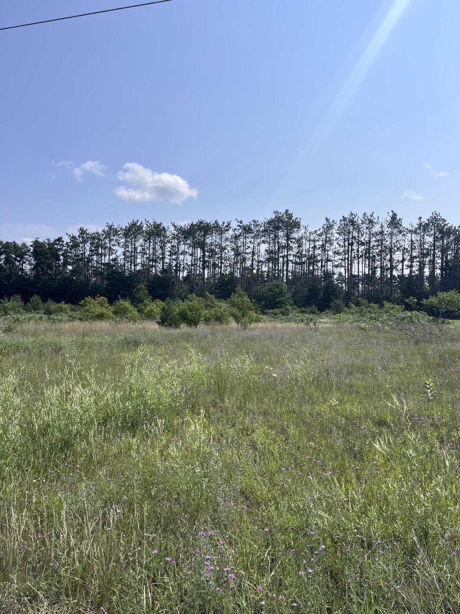 Property Image for Expressway Court lot: 5