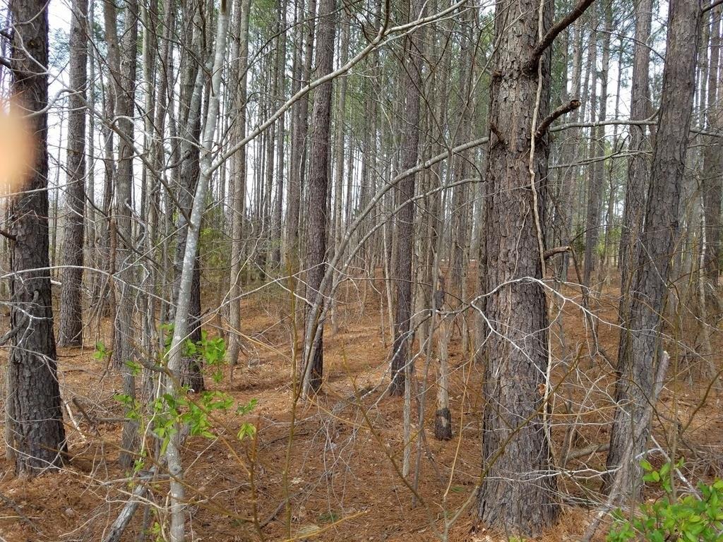 Property Image for Highway 903