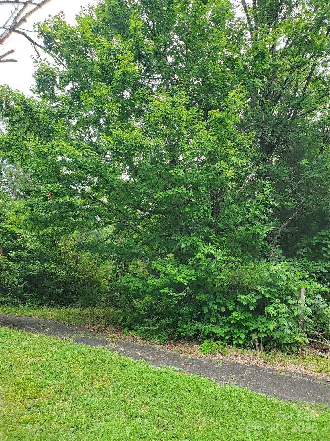 Property Image for 601,610,611 Basinger Lane