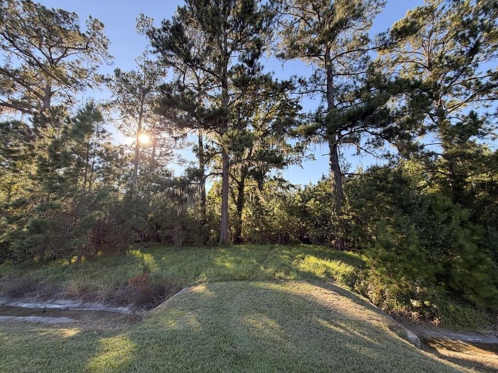 Property Image for US Hwy 441