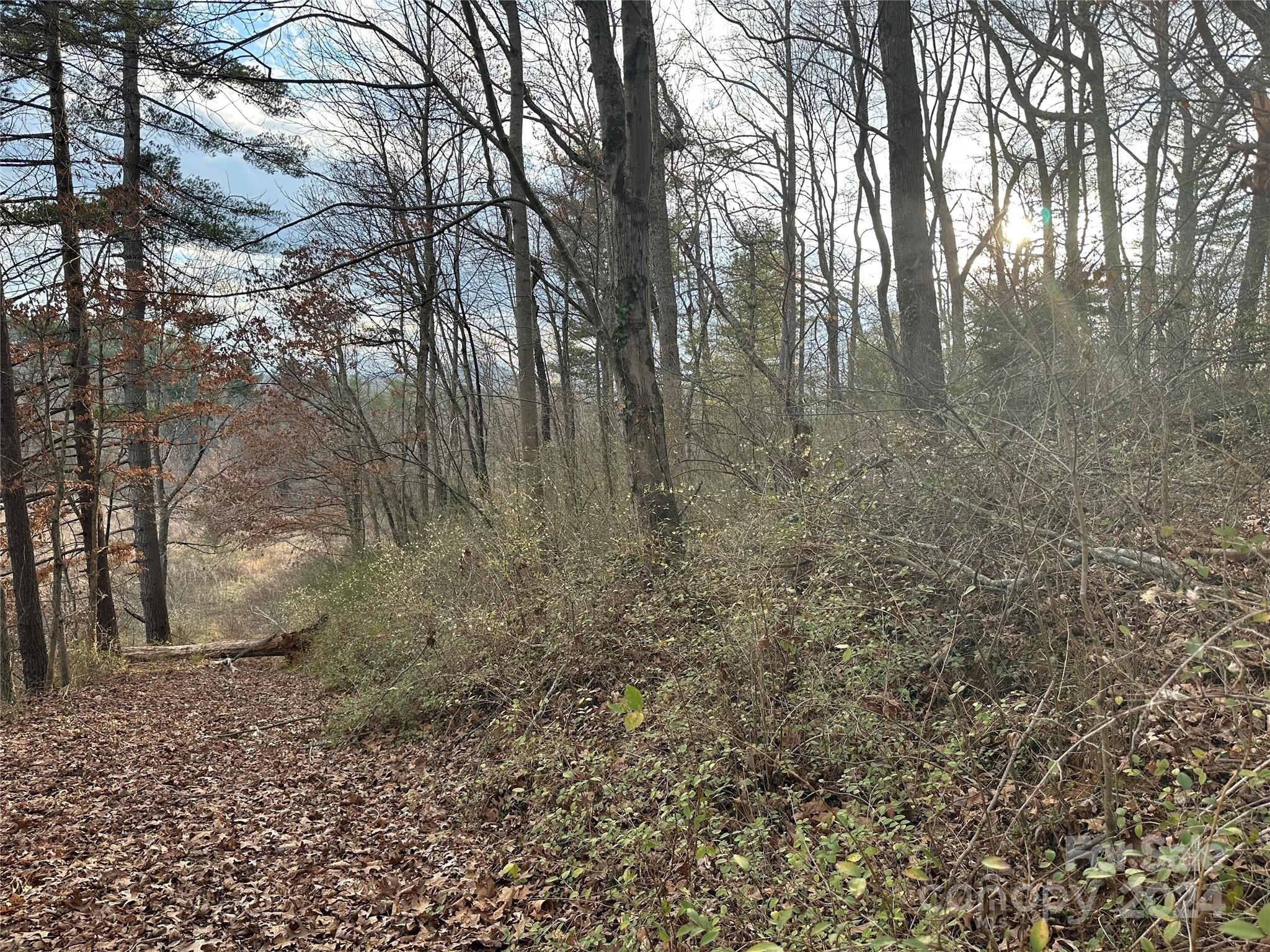 Property Image for 641 Brevard Road