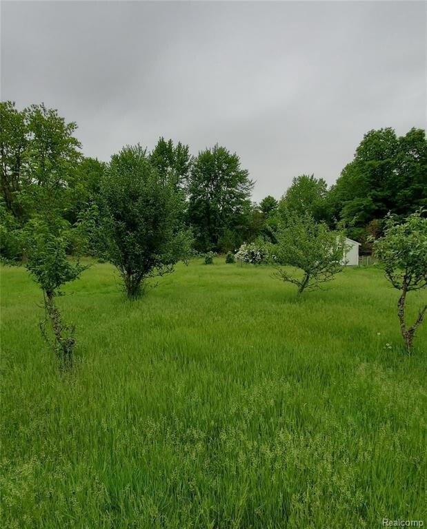 Property Image for 34620 California Street