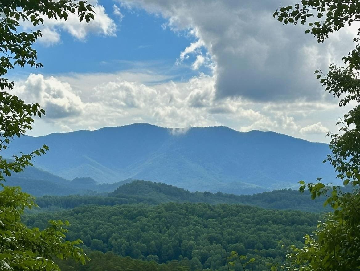 Property Image for 65 Blue Ridge Gem Mine Road