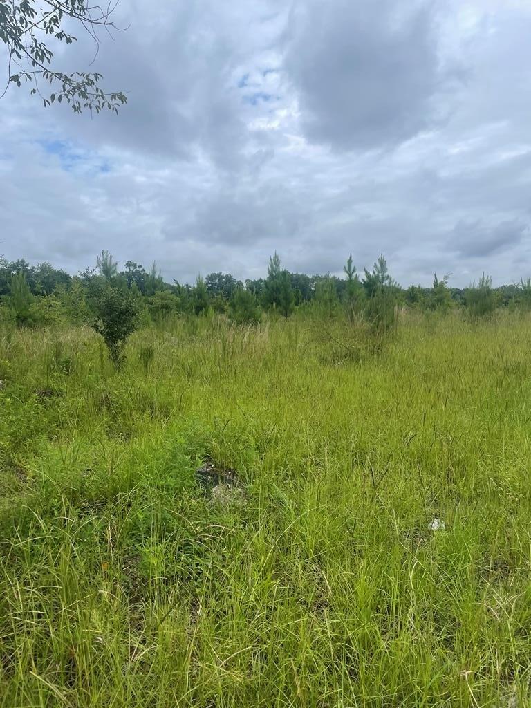 Property Image for Belcher Lane