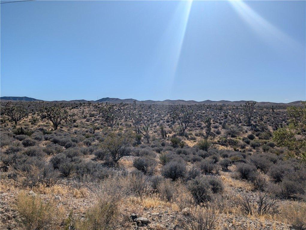 Property Image for 27305 N Tamarisk Street