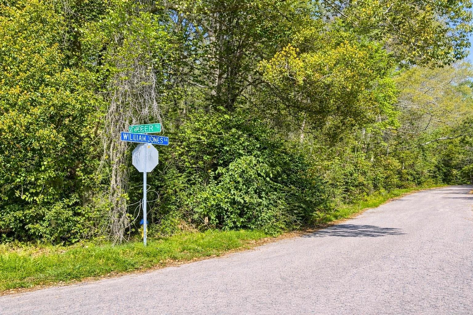Property Image for Wm Jones Lane