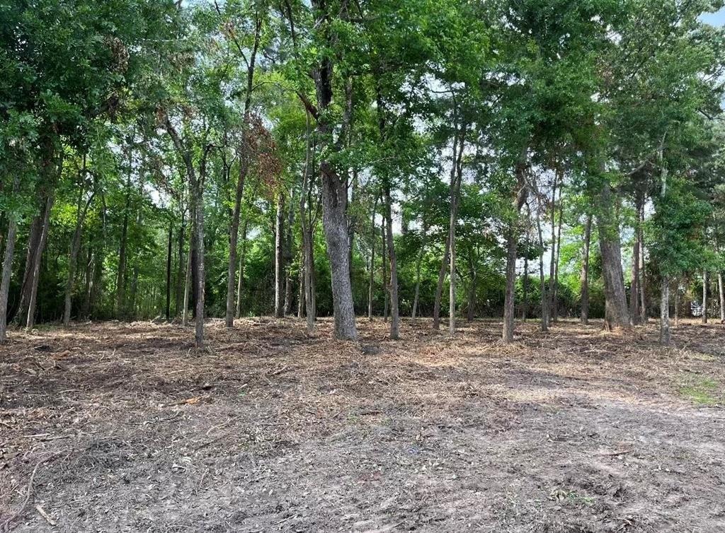 Property Image for 4000 Ellen Trout Drive