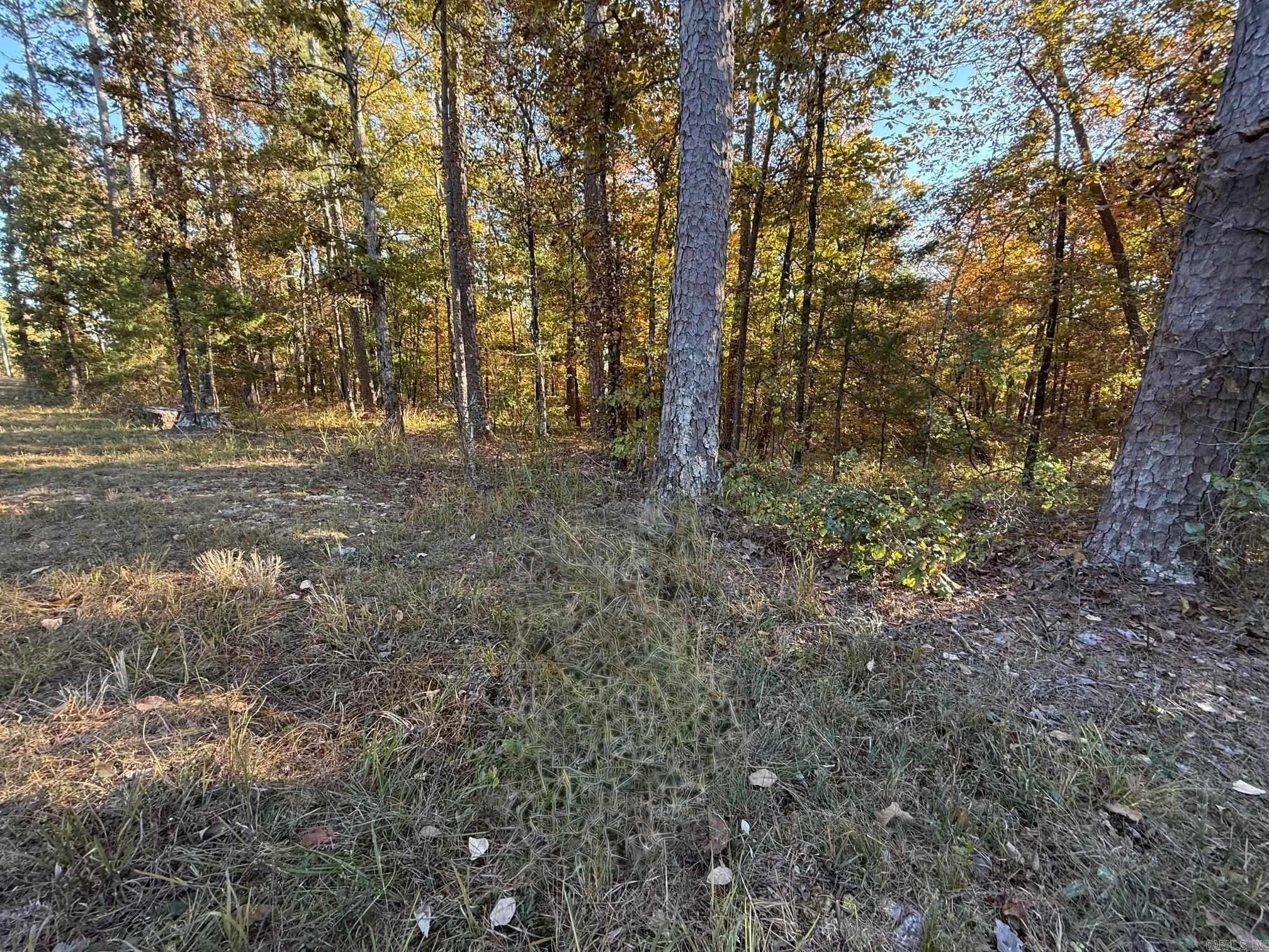 Property Image for 00 DeSoto Boulevard