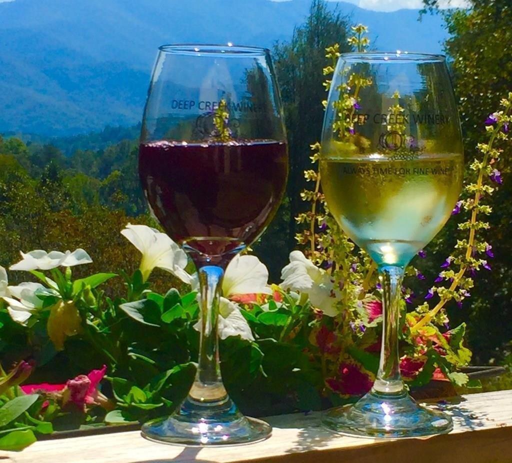 Property Image for 405 Johnathan Walk Rd.