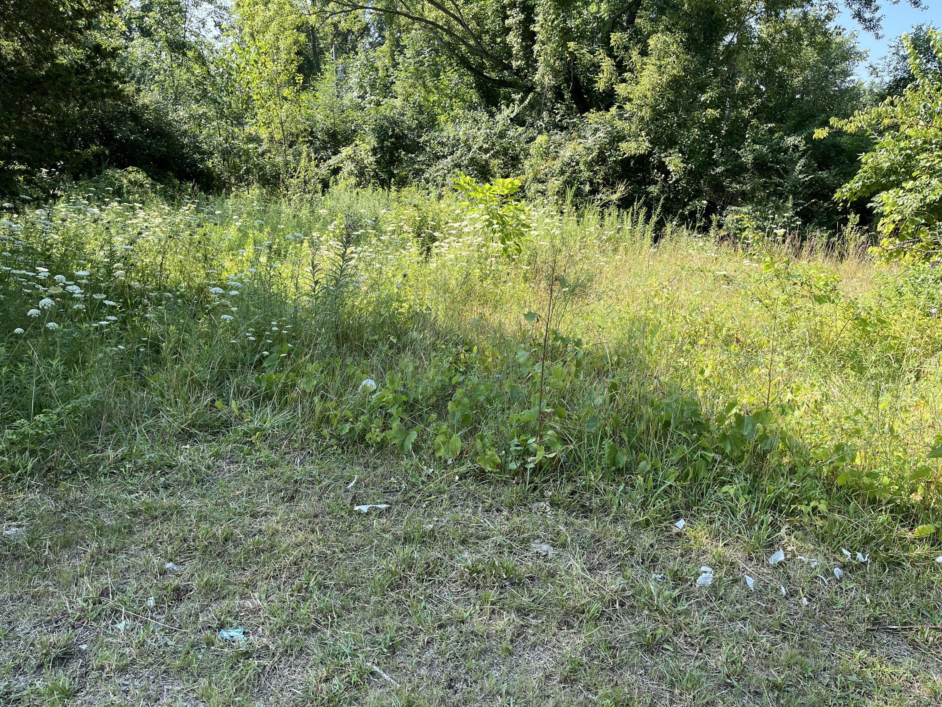 Property Image for 2268 Townline Road