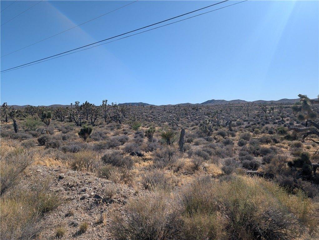 Property Image for 27335 N Tamarisk Street
