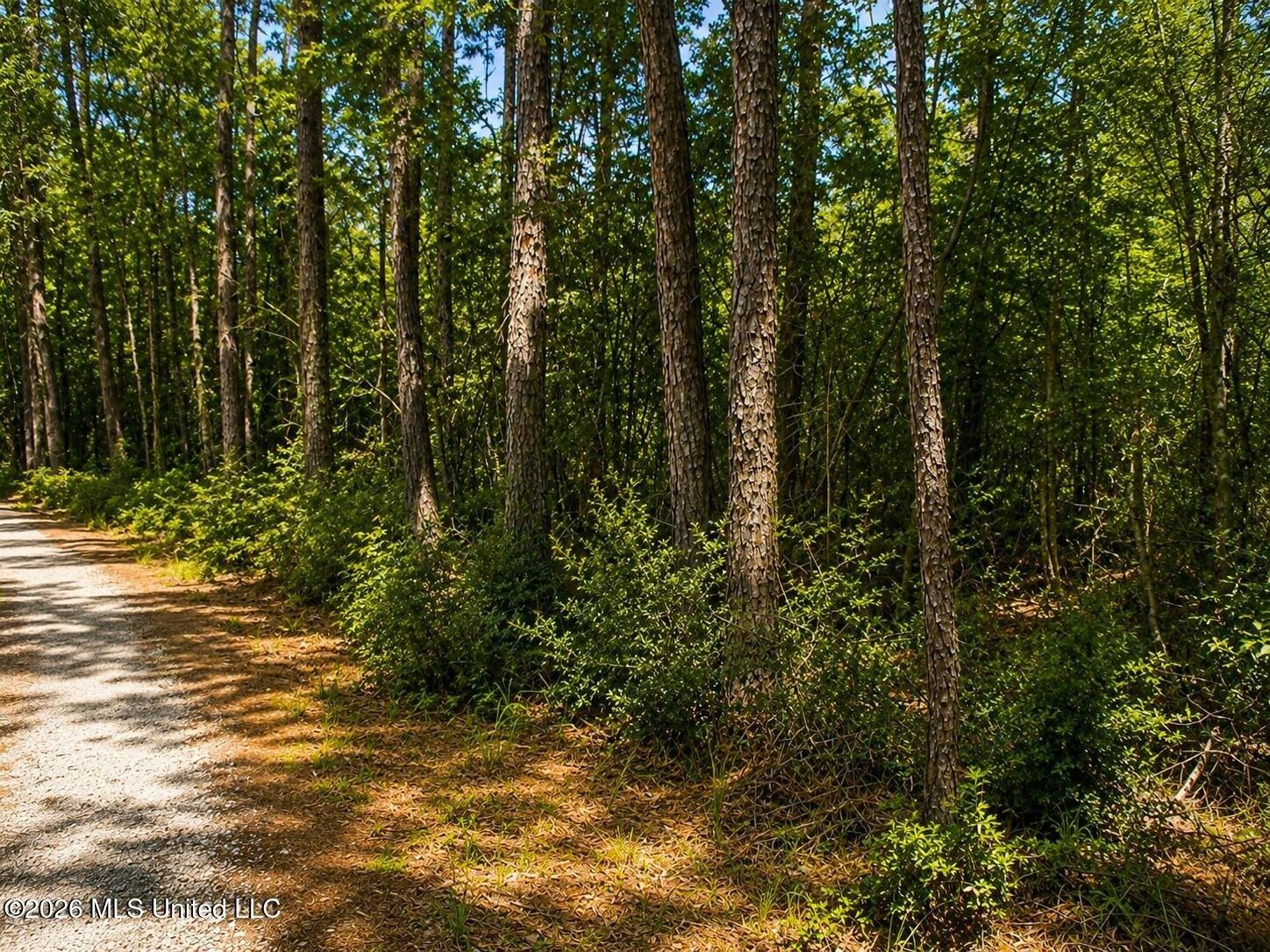 Property Image for 17th Avenue