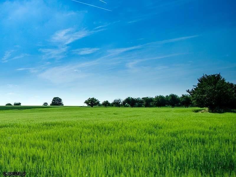 Property Image for 40 Butter Road