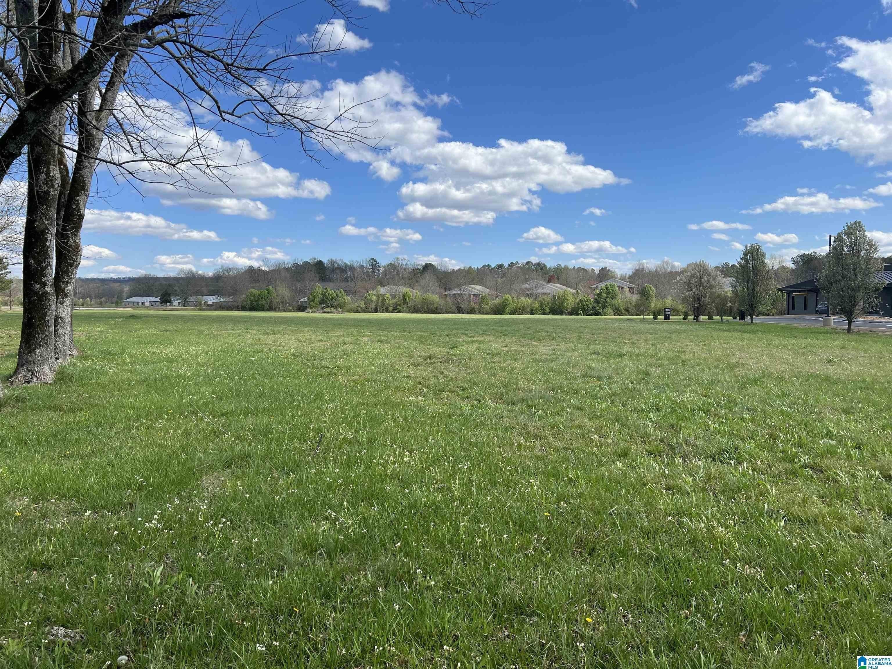 Property Image for 0 2nd Avenue