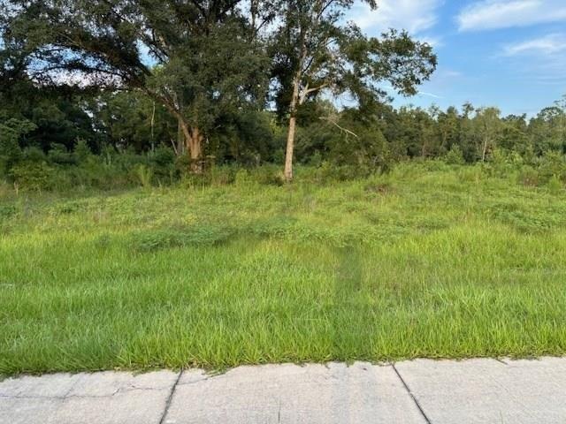 Property Image for 5.7 acre SW 4th Ave