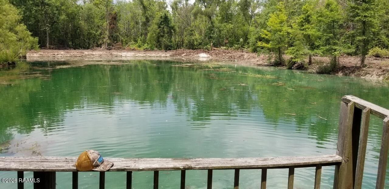 Property Image for 128 Acres In Palmetto