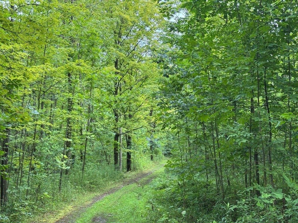 Property Image for 8220 WATTSBURG Road