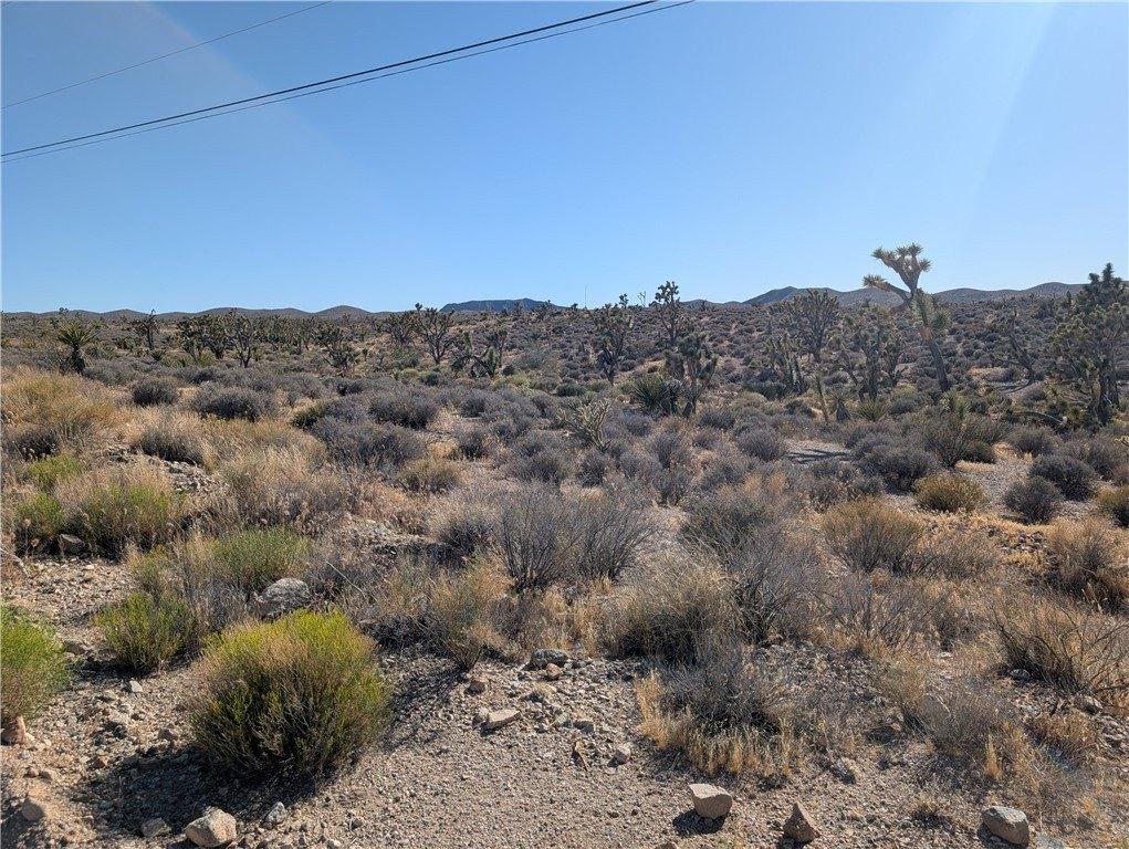 Property Image for 27321 N Tamarisk Street