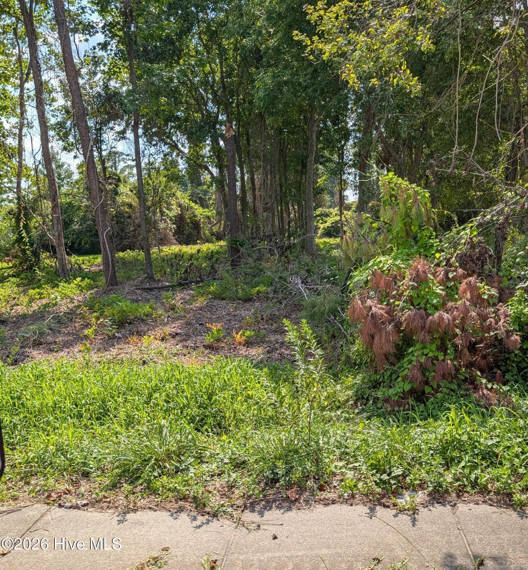 Property Image for 852 Bell Fork Road