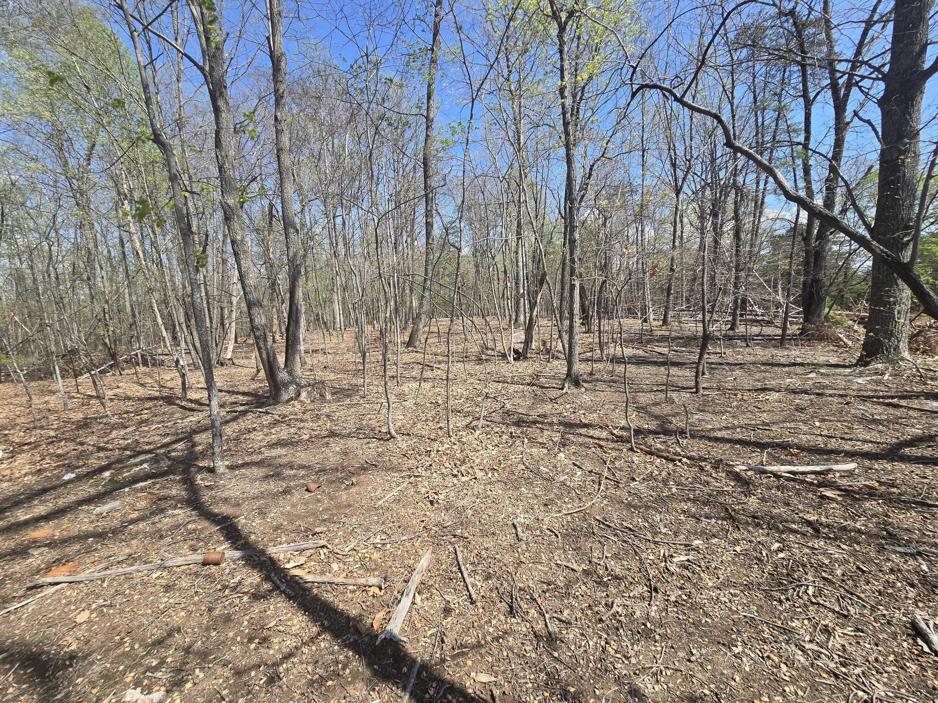 Property Image for 1334 E Lynchburg Salem