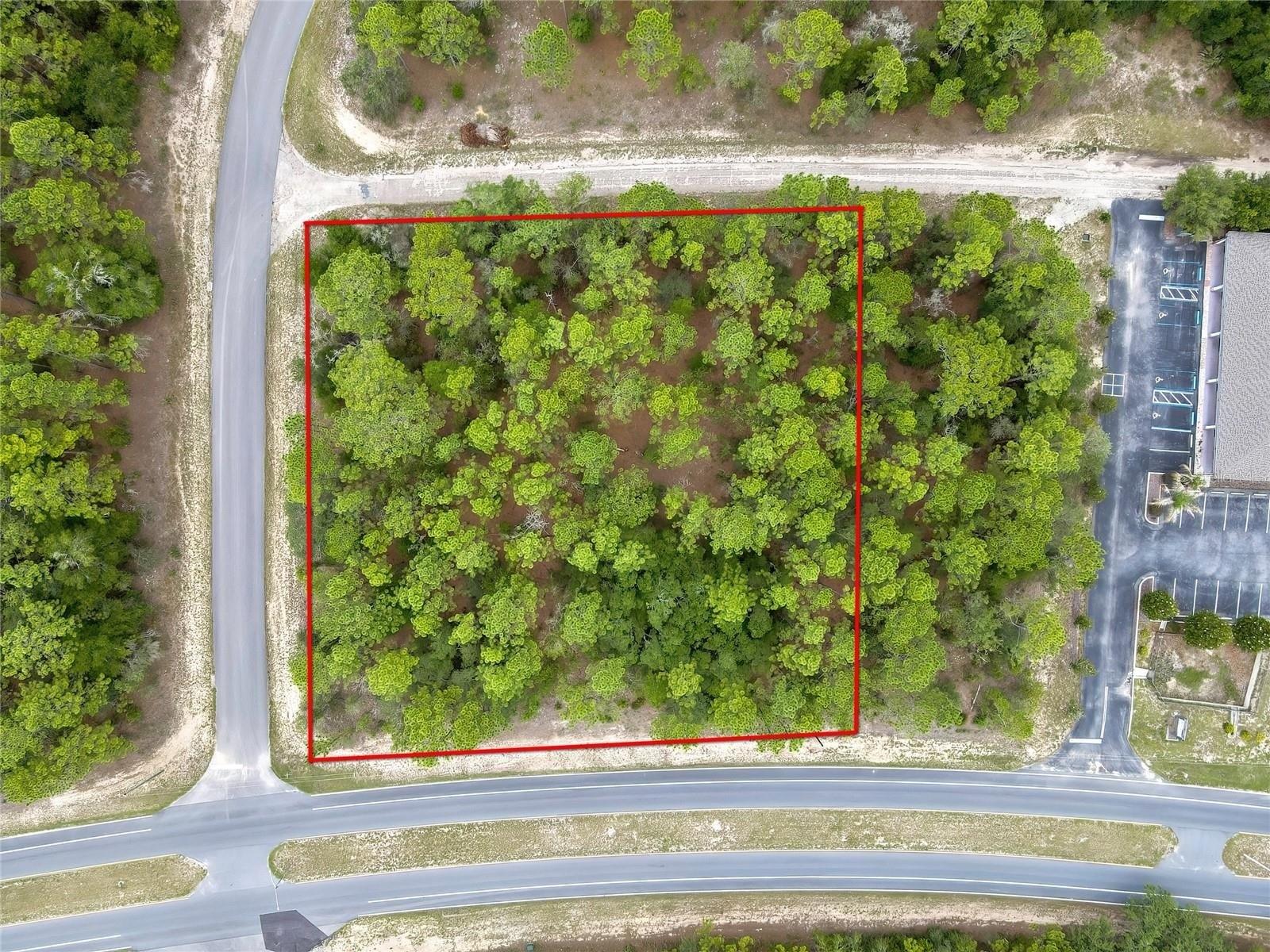 Property Image for 9787 N CITRUS SPRINGS Boulevard