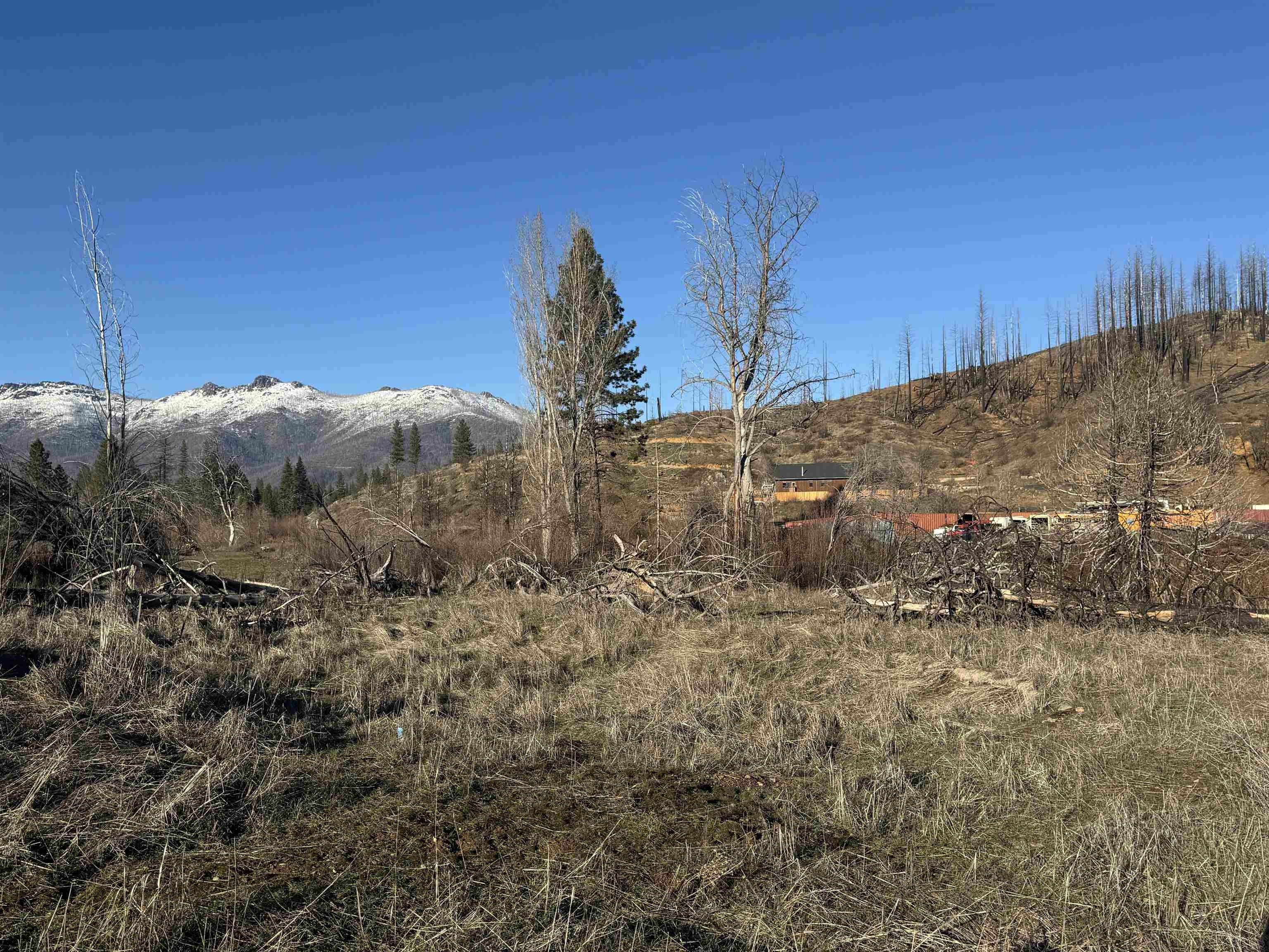 Property Image for 203 Kinder Avenue