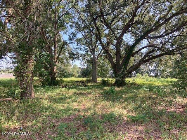 Property Image for 2 Rena Road lot: 17-19