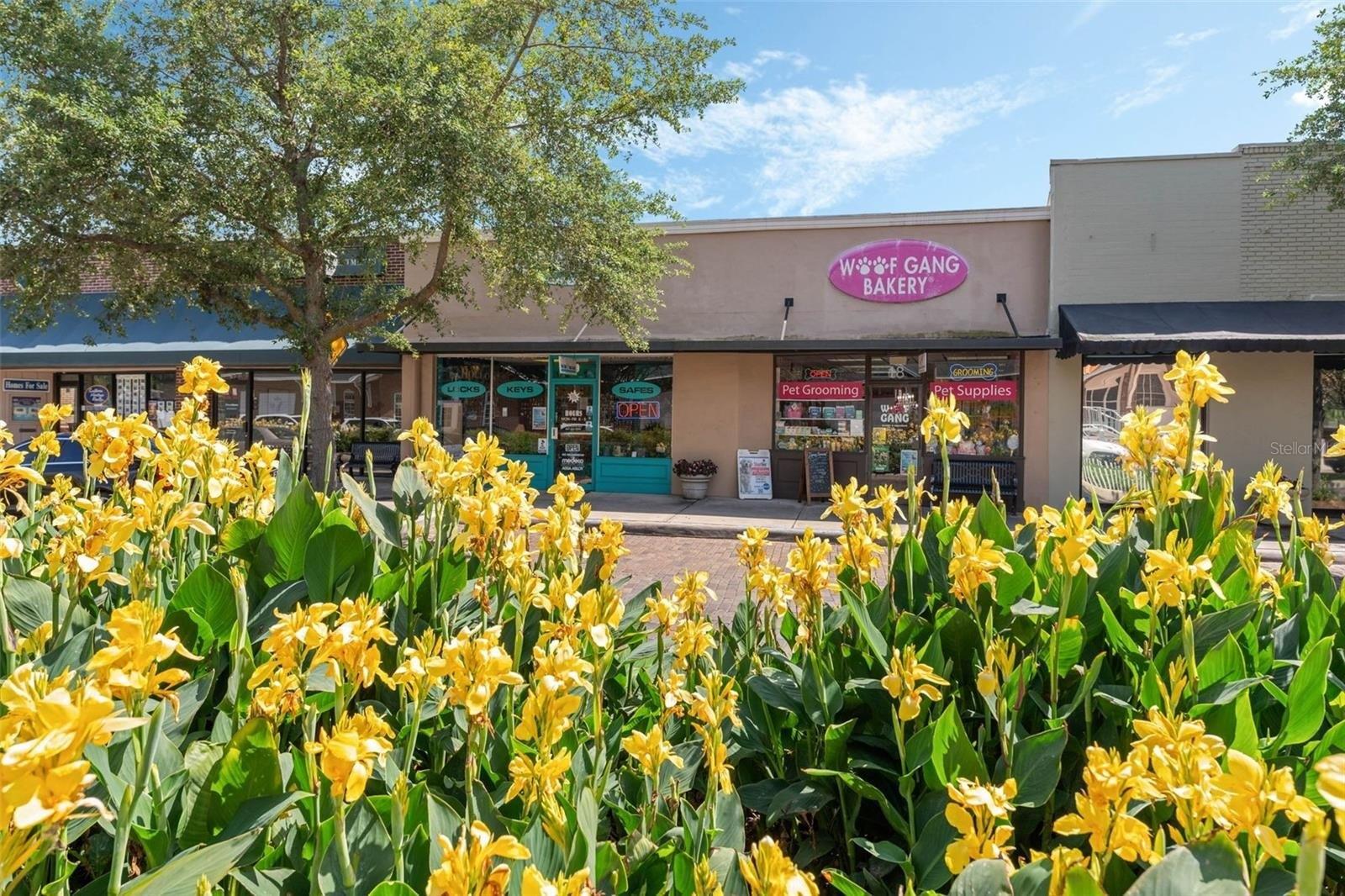 Property Image for 18 & 20 E PLANT Street