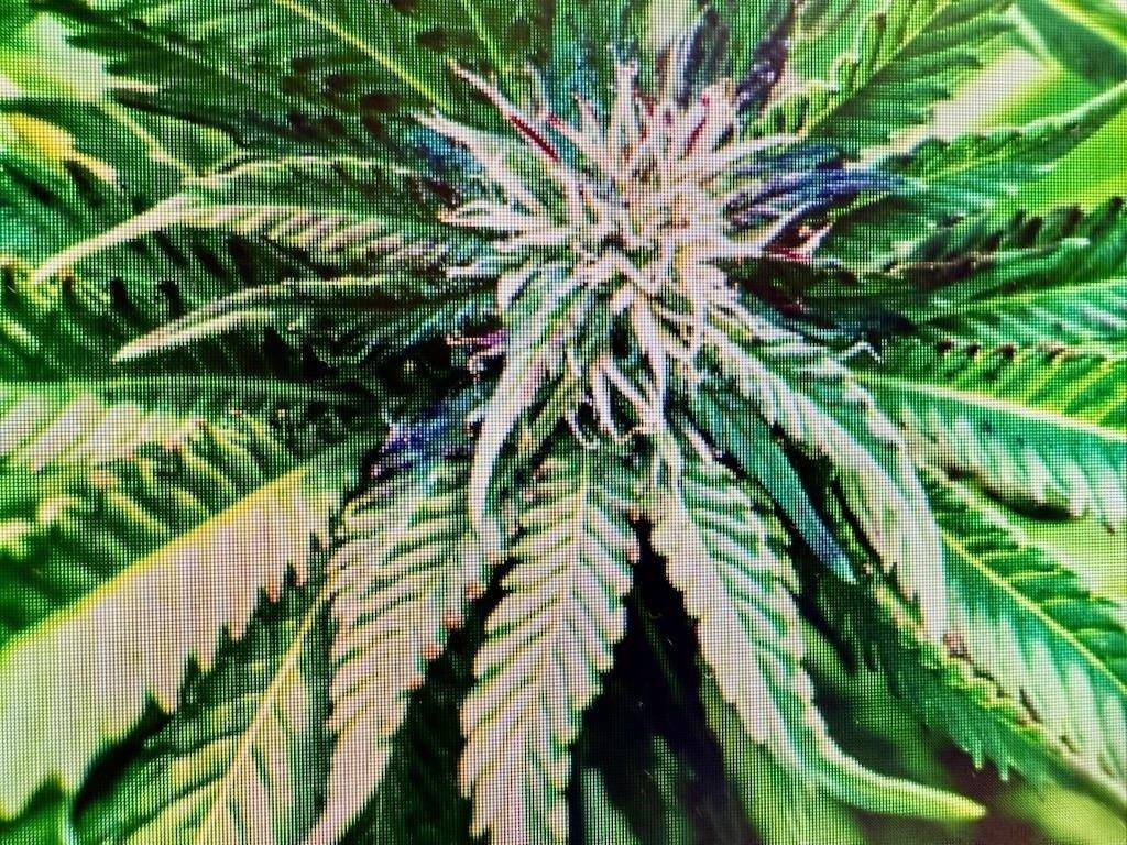 Property Image for 75 Martin Luther King Jr Dr