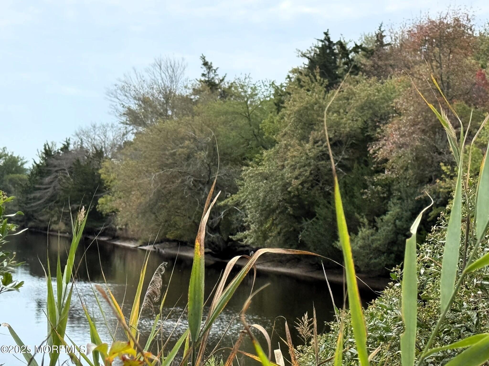 Property Image for 11 Persimmon Drive