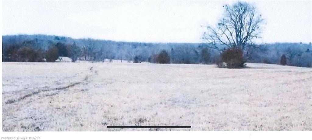 Property Image for 600 Paw Paw RD lot: 0