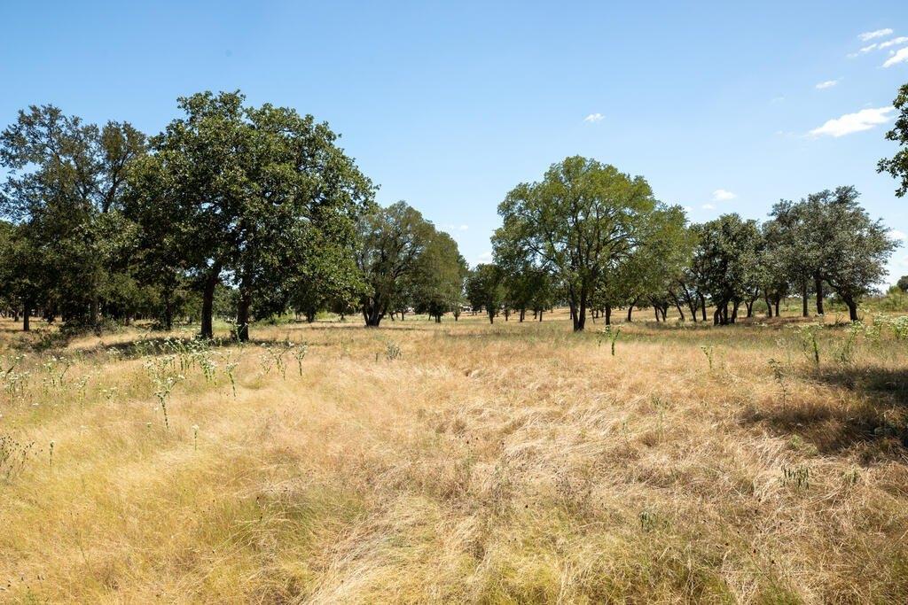Property Image for 3600 E US Hwy 290