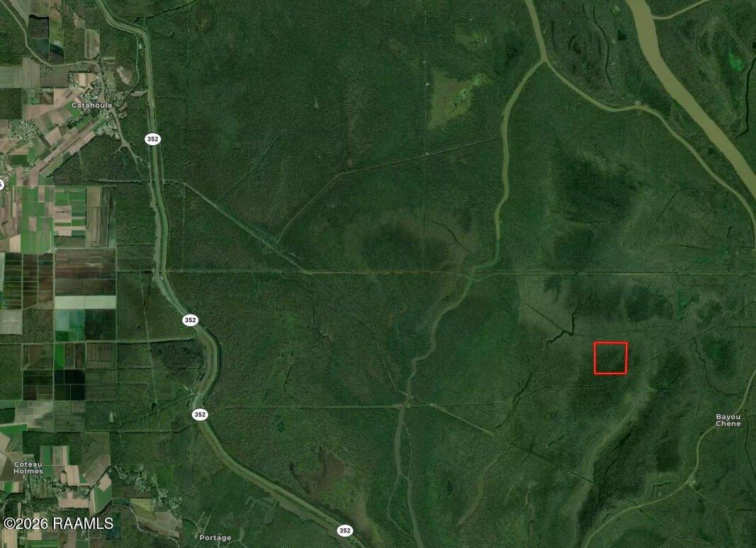 Property Image for Bayou Benoit Levee Road lot: 1