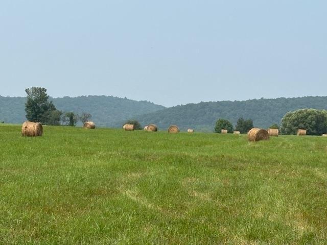 Property Image for 27845 Route 220