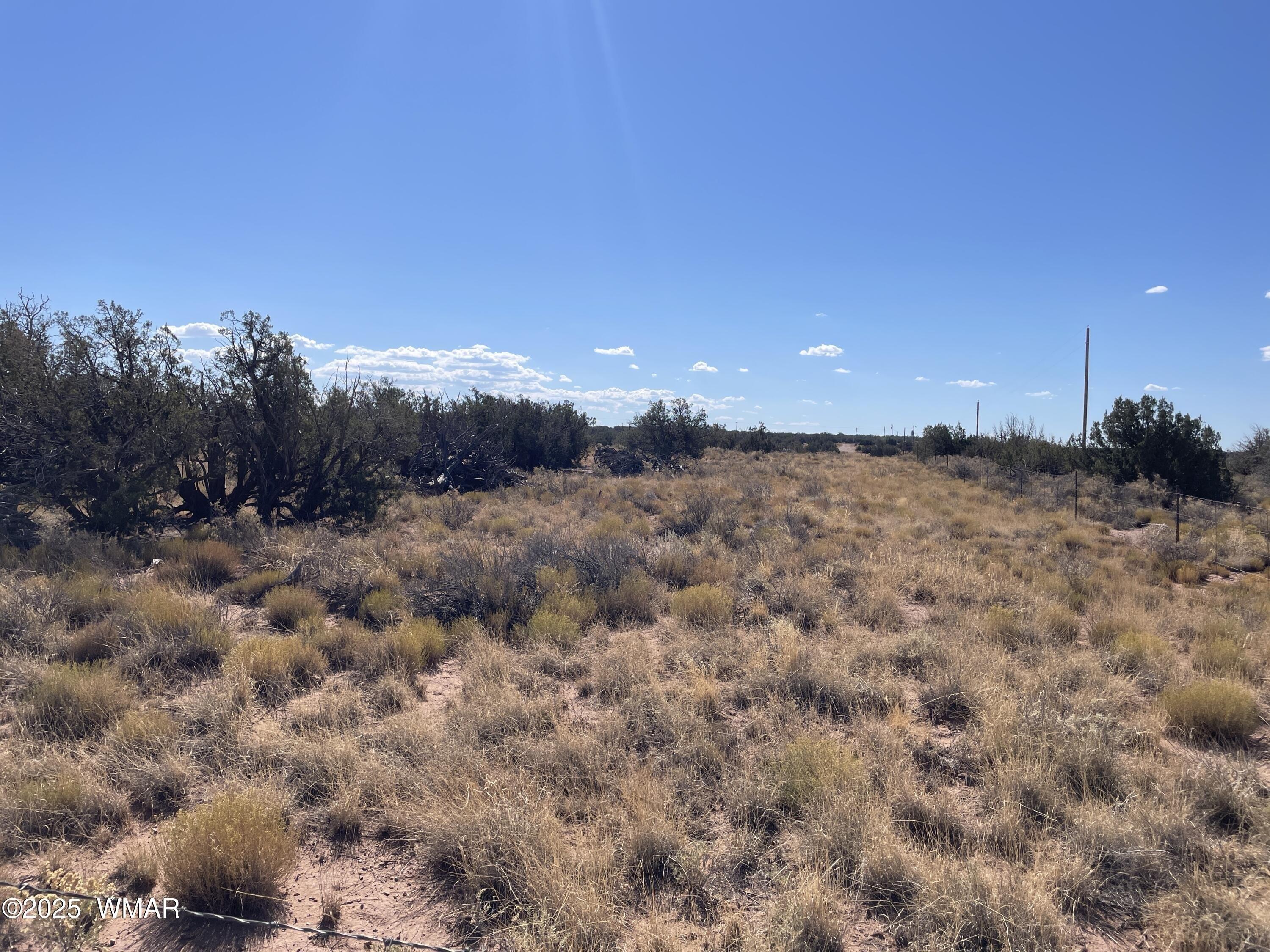 Property Image for 8561 E Concho Highway