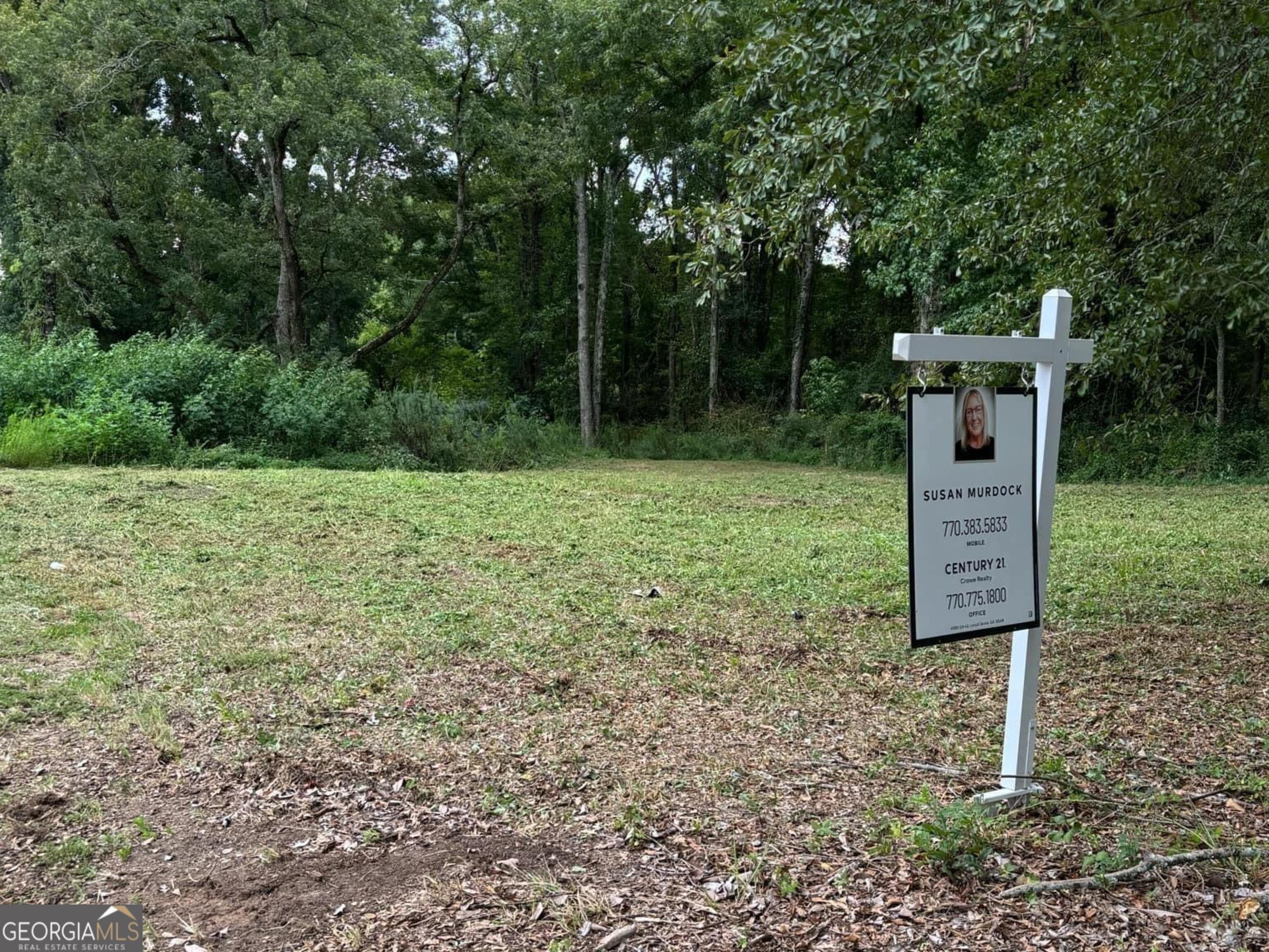 Property Image for 372 Atlanta Street