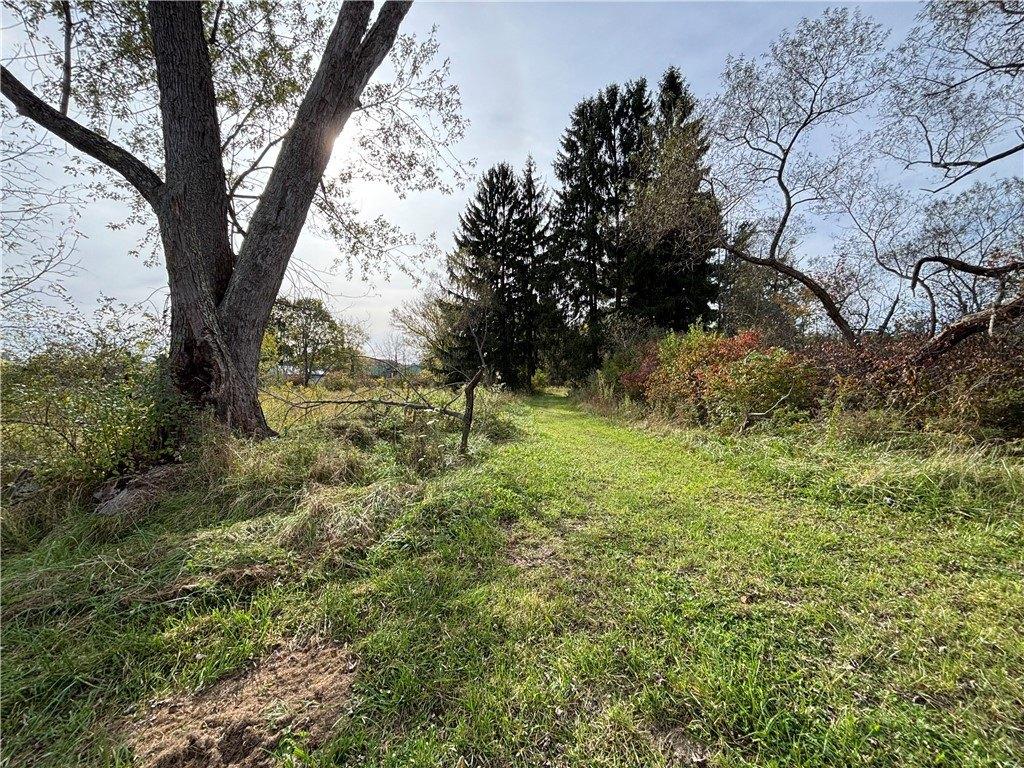 Property Image for Rebecca Street