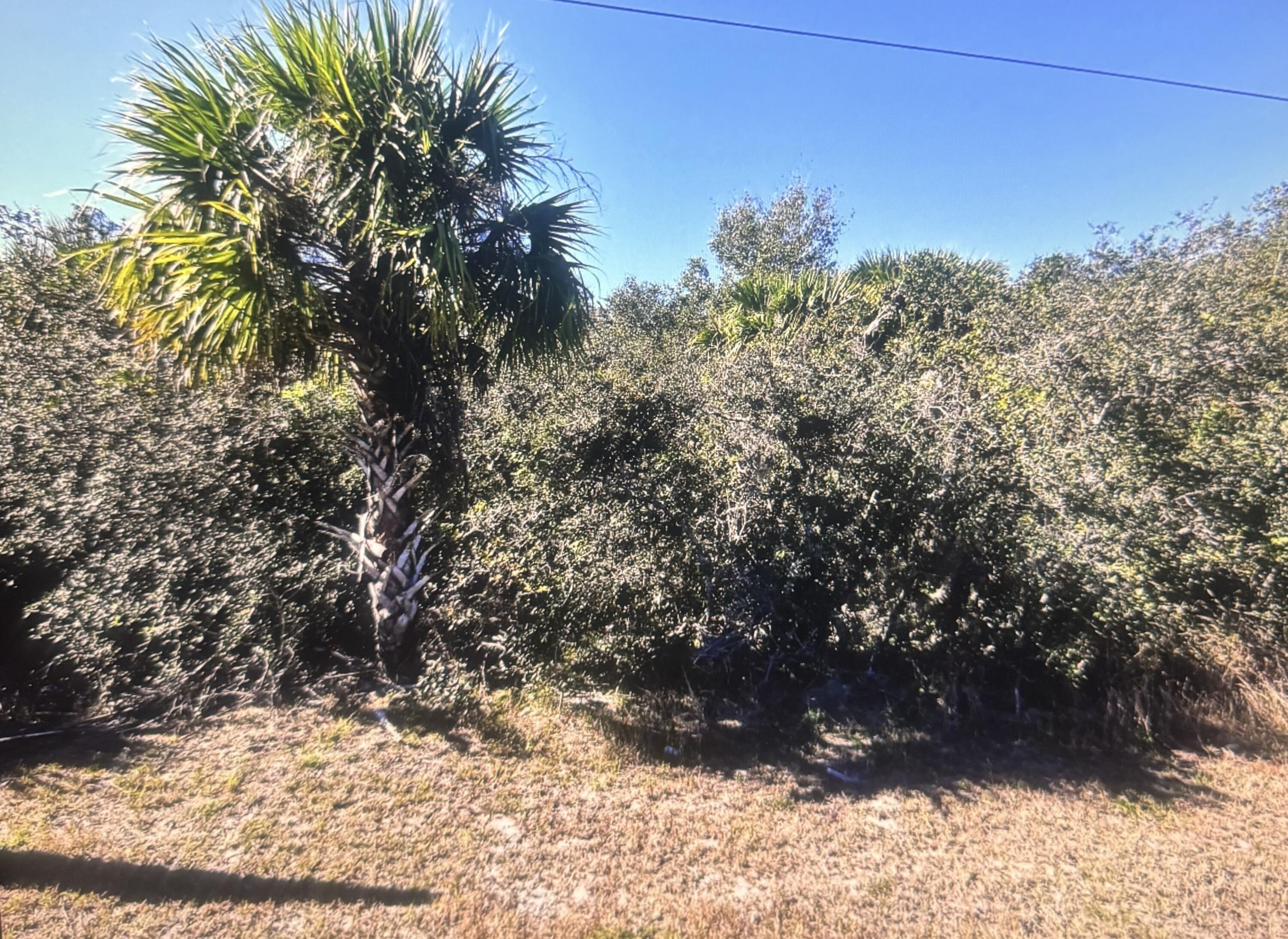 Property Image for 0 Old Dixie N Highway