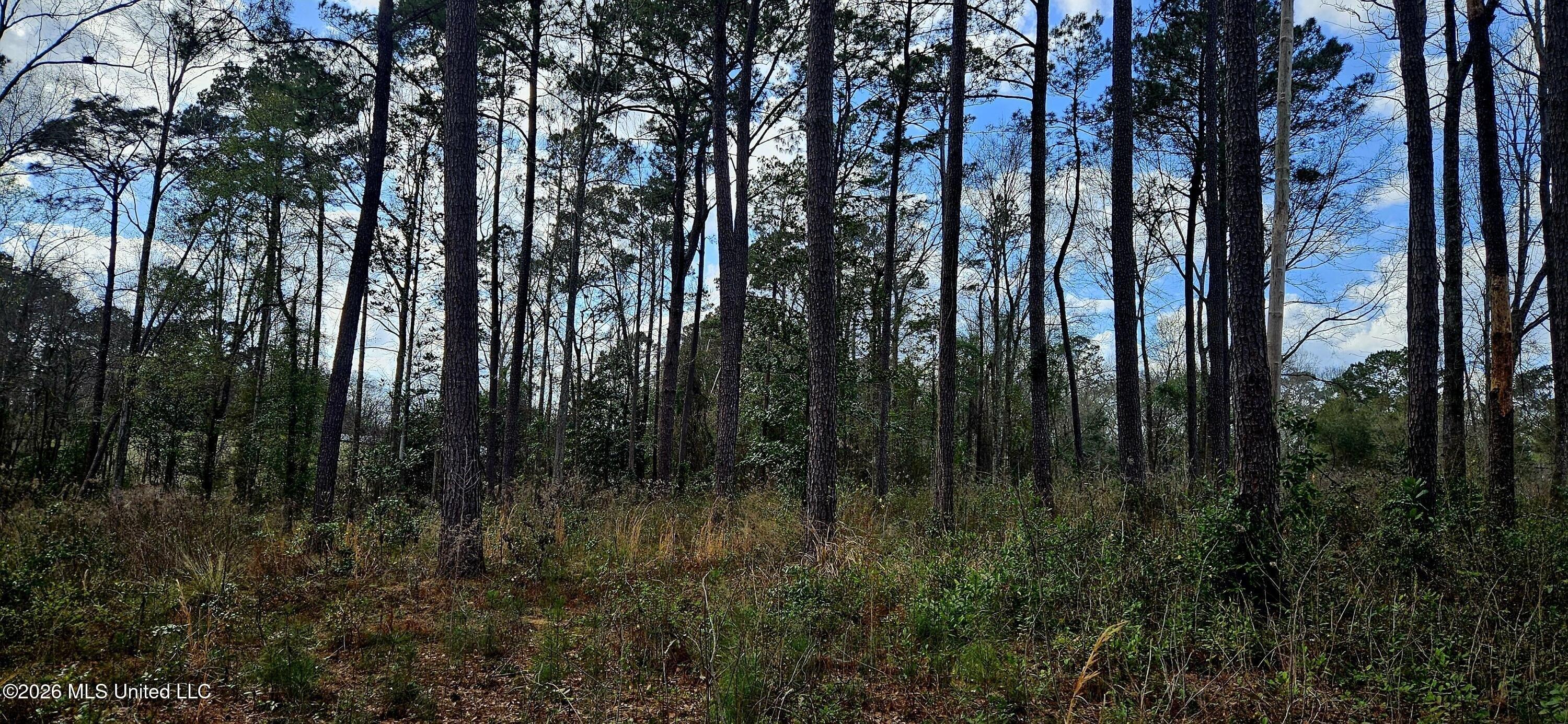 Property Image for Us-11