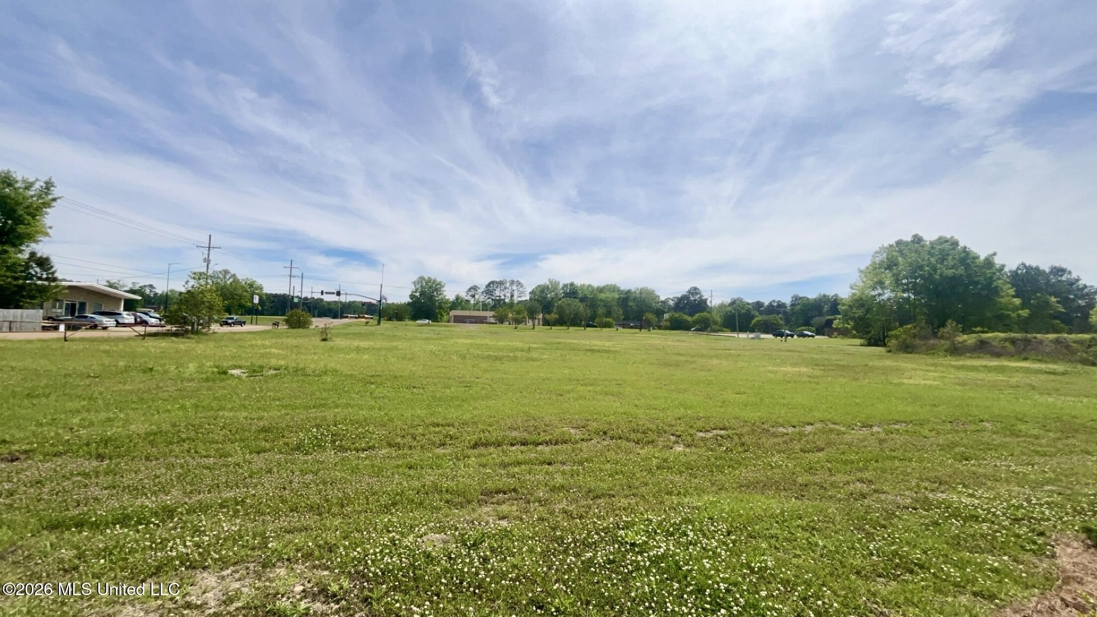 Property Image for 0000000000 Paul Truitt Lane