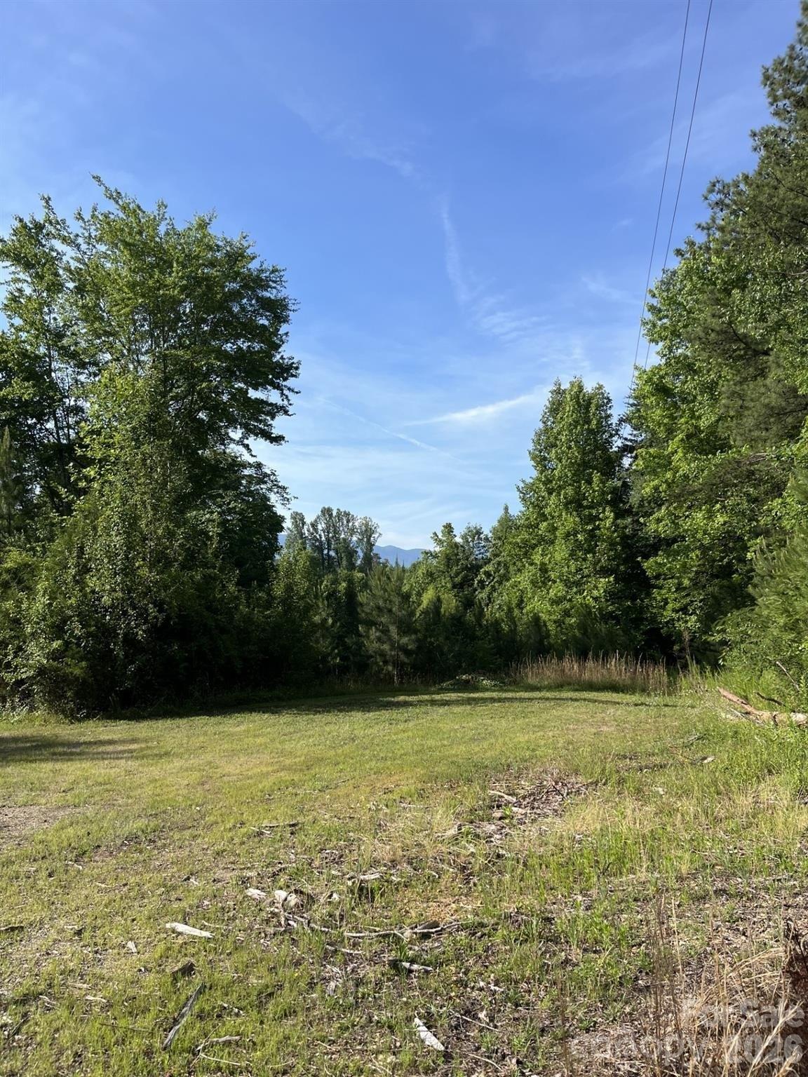 Property Image for 108 & 0 Old Hush Puppy Avenue