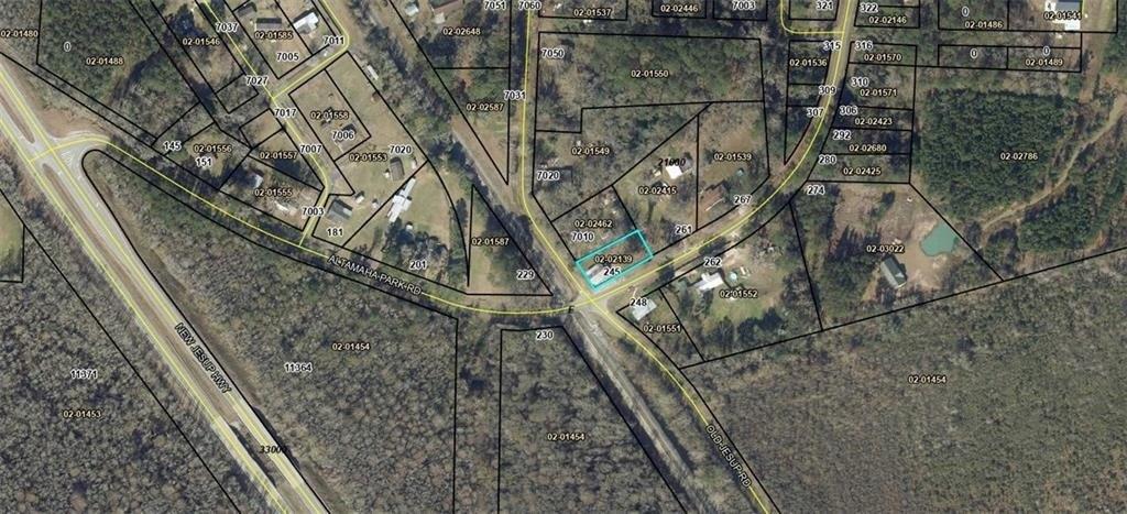 Property Image for 245 Altamaha Park Road