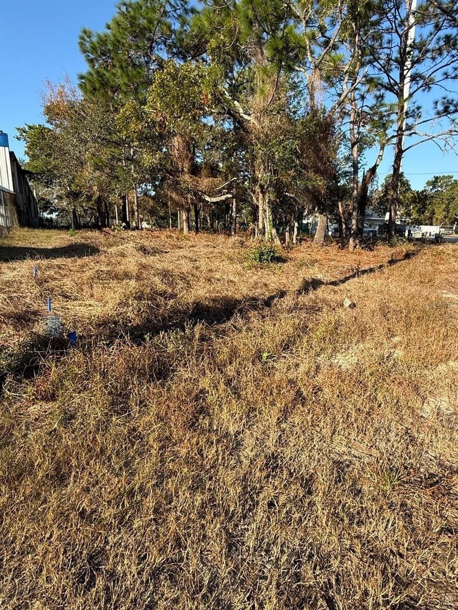 Property Image for 13786 LINDEN Drive