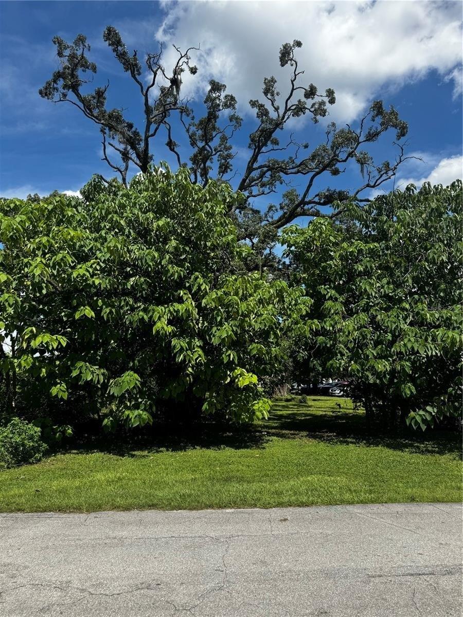 Property Image for NW 10TH Street